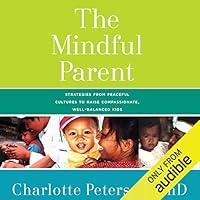 Algopix Similar Product 8 - The Mindful Parent Strategies from