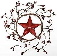 Algopix Similar Product 7 - Set of 4 Decorative Burgundy Pip Berry