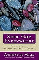 Algopix Similar Product 3 - Seek God Everywhere Reflections on the