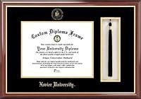 Algopix Similar Product 14 - Campus Images OH990PMHGT Xavier