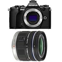Algopix Similar Product 16 - Olympus OMD EM5 Mark II Black