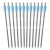 Algopix Similar Product 16 - ANTSIR 20 Hunting Archery Carbon Arrow