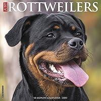 Algopix Similar Product 17 - Just Rottweilers 2020 Wall Calendar