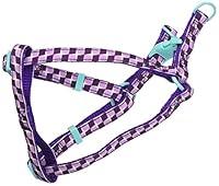 Algopix Similar Product 14 - Pet Champion Fashion Adjustable No Pull