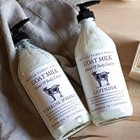 Algopix Similar Product 7 - LAVENDER LOTION ALL NATURAL HAND 