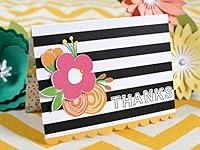 Algopix Similar Product 2 - Silhouette Printable Adhesive Cardstock