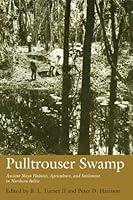 Algopix Similar Product 12 - Pulltrouser Swamp Ancient Maya