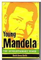 Algopix Similar Product 17 - Young Mandela: The Revolutionary Years