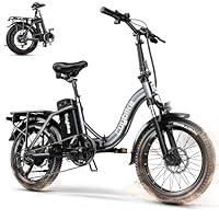 Algopix Similar Product 4 - EUYBIKE1000W Folding Electric Bike for