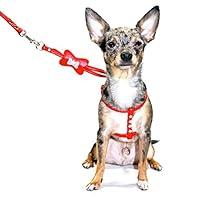 Algopix Similar Product 7 - Hip Doggie HD 6SIRB M Bone Step  in