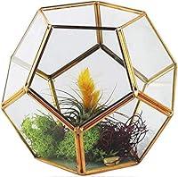 Algopix Similar Product 8 - Circleware Terraria Terrarium