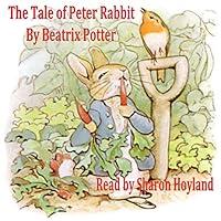 Algopix Similar Product 17 - The Tale of Peter Rabbit