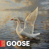 Algopix Similar Product 15 - Goose Calendar 2025 365 Days of