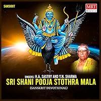 Algopix Similar Product 15 - Sri Shani Pooja Stothra Mala