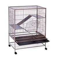 Algopix Similar Product 6 - Prevue Pet Products Rat Chinchilla