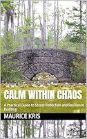 Algopix Similar Product 12 - CALM WITHIN CHAOS A Practical Guide to