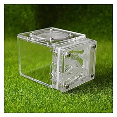 RESTCLOUD Insect and Butterfly Habitat Cage Terrarium Pop-Up 12 x 12 x 12 Inches with Zipper Protection
