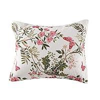 Algopix Similar Product 4 - Greenland Butterflies King ShamMulti