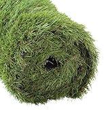 Algopix Similar Product 17 - GOLDEN MOON Artificial Grass for Dogs