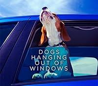 Algopix Similar Product 17 - Dogs Hanging Out Of Windows