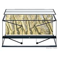 Algopix Similar Product 6 - Exo Terra AllGlass Terrarium  36 x 18