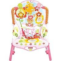 Algopix Similar Product 5 - Fisher-Price Infant-to-Toddler Rocker