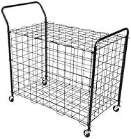 Algopix Similar Product 19 - BSN Standard Portable Ball Locker, Black