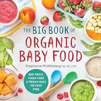 Algopix Similar Product 9 - The Big Book of Organic Baby Food Baby