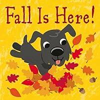 Algopix Similar Product 17 - Fall Is Here!