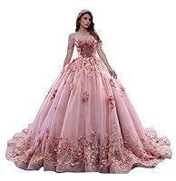 Algopix Similar Product 17 - PFTFB Puffy Plum Quinceanera Dresses