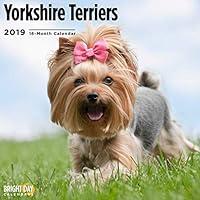 Algopix Similar Product 13 - 2020 Yorkshire Terriers Calendar 16