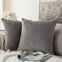 Algopix Similar Product 19 - MIULEE Pack of 2 Velvet Soft Solid