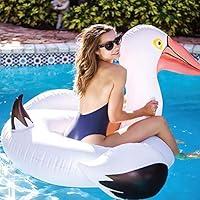 Algopix Similar Product 7 - Pool Floats Swim Ring Floats for Adults