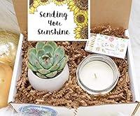 Algopix Similar Product 3 - Sending You Sunshine Succulent Gift Box