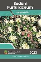 Algopix Similar Product 2 - Sedum Furfuraceum  Succulent Handbook