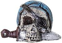 Algopix Similar Product 6 - BioBubble Origins Pirate Skull