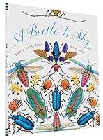 Algopix Similar Product 8 - A Beetle Is Shy Family Treasure Nature
