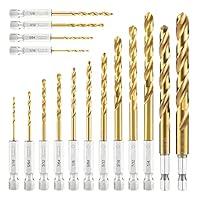 Algopix Similar Product 7 - amoolo Hex Shank Drill Bit Set 16pcs