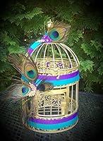 Algopix Similar Product 11 - Peacock Birdcage Centerpiece