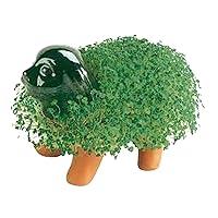 Algopix Similar Product 18 - Chia Pet Puppy with Seed Pack