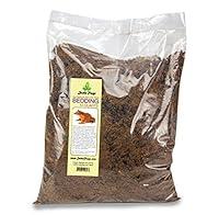 Algopix Similar Product 17 - Joshs Frogs Solomon Island Leaf Frog