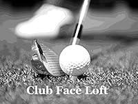 Algopix Similar Product 20 - Club Face Loft. Introduction.