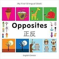 Algopix Similar Product 8 - My First Bilingual BookOpposites