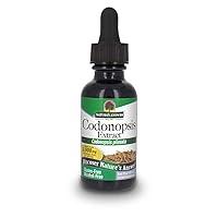 Algopix Similar Product 3 - Natures Answer Codonopsis Root Organic