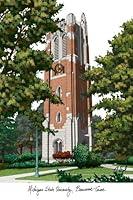 Algopix Similar Product 6 - Campus Images MI989 Michigan State