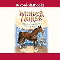 Algopix Similar Product 16 - Wonder Horse