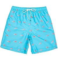 Algopix Similar Product 3 - Mens Bathing Suits with Mesh Lining