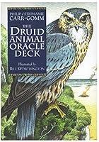 Algopix Similar Product 9 - Druid Animal Oracle Deck