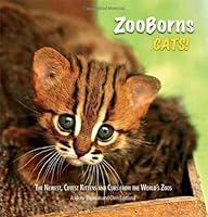 Algopix Similar Product 20 - ZooBorns Cats The Newest Cutest