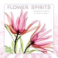 Algopix Similar Product 20 - Flower Spirits 2025 Wall Calendar 